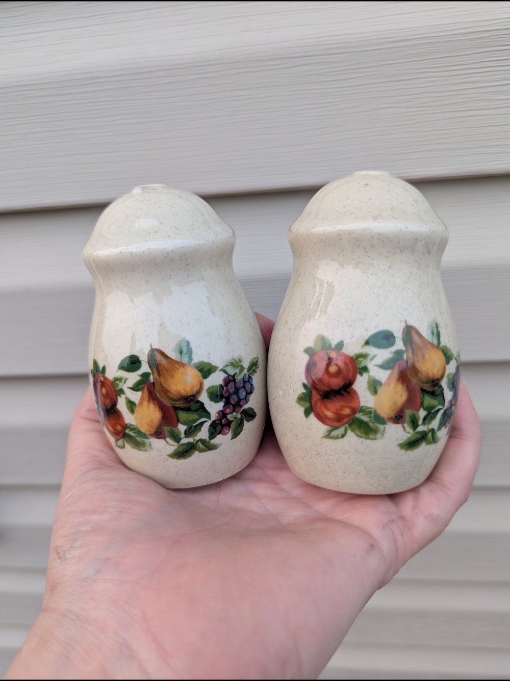 Hand-Painted Ceramic Fruit Salt & Pepper Shakers